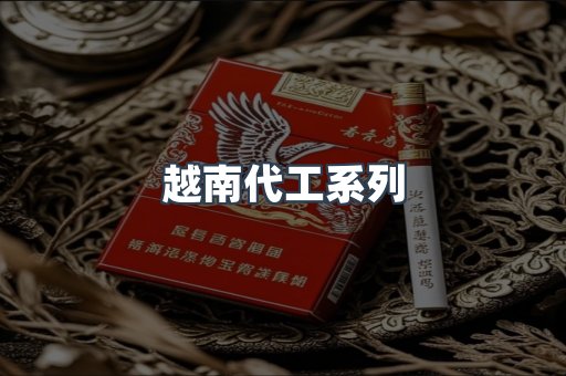 越南代工系列